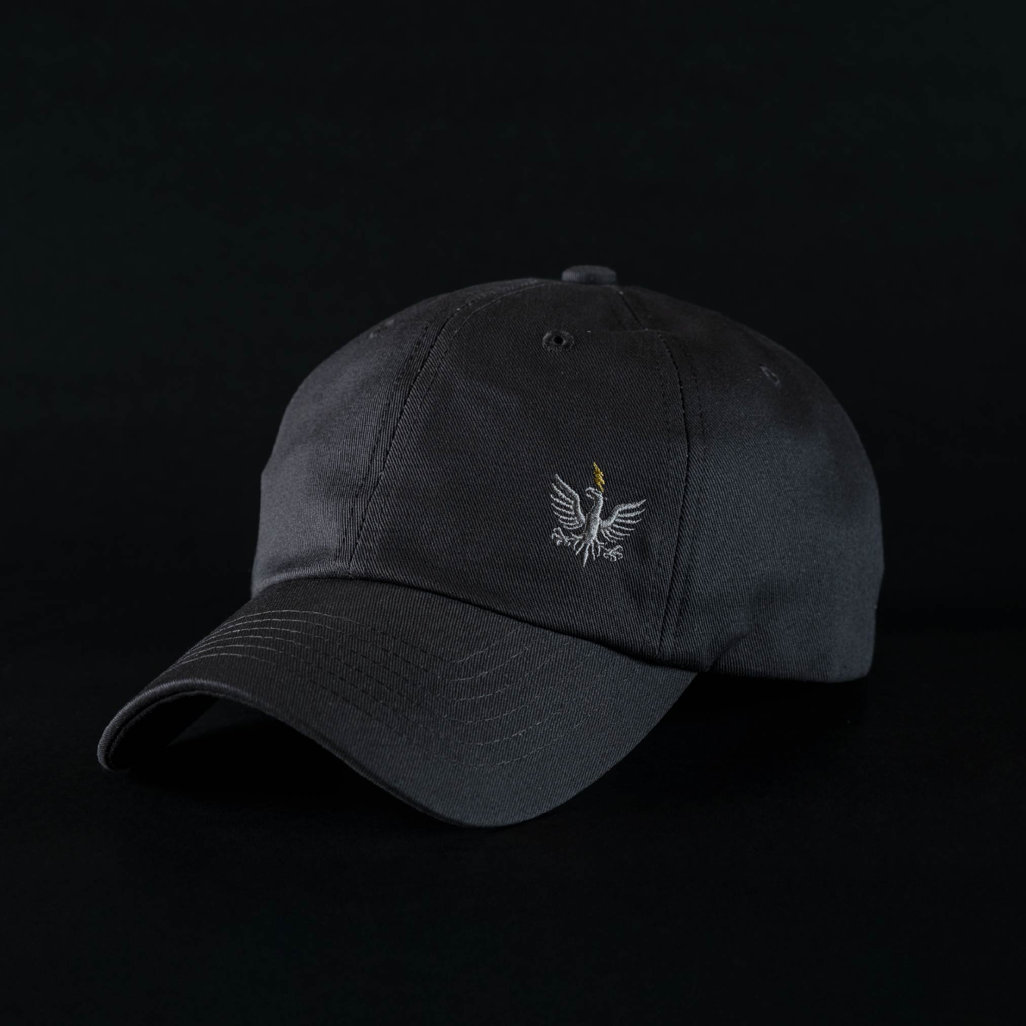 TBH LOGO CAP