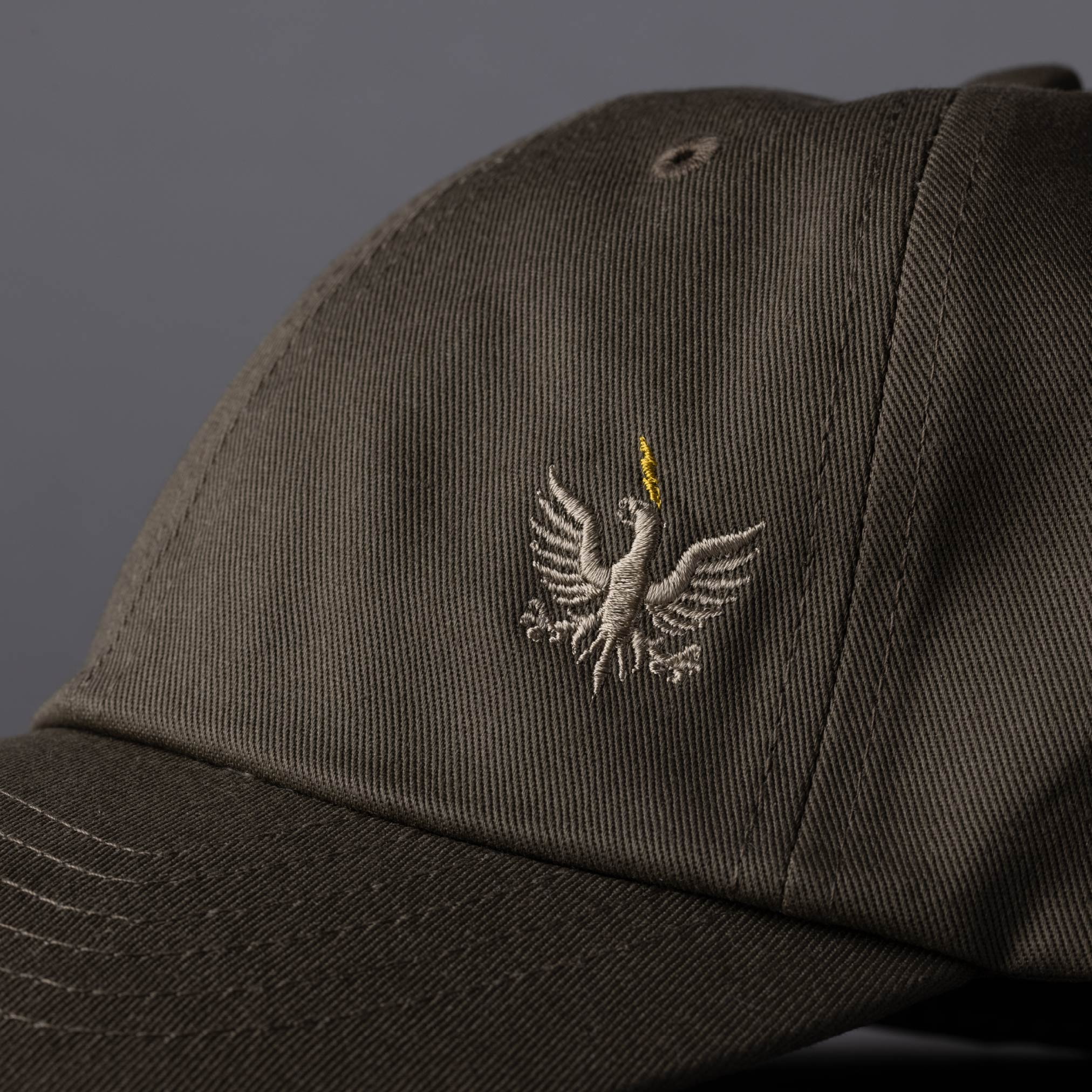 TBH LOGO CAP