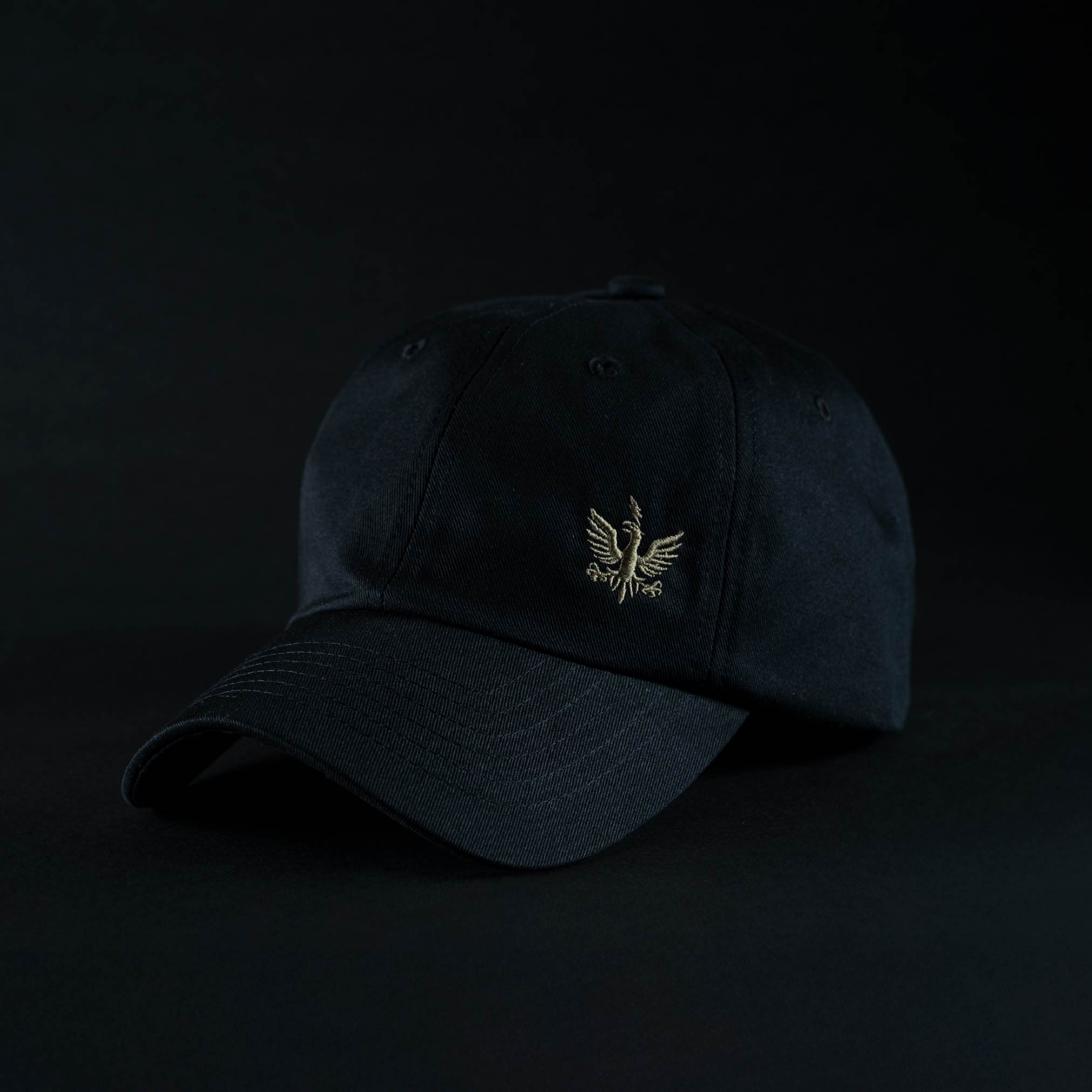 TBH LOGO CAP