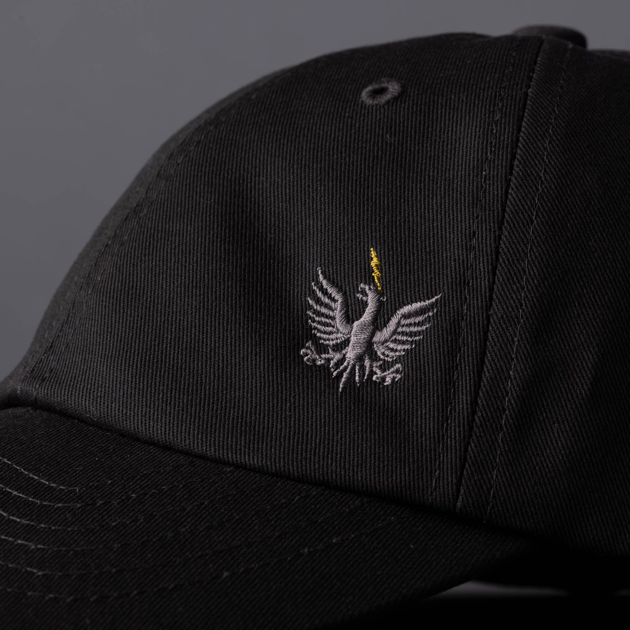 TBH LOGO CAP
