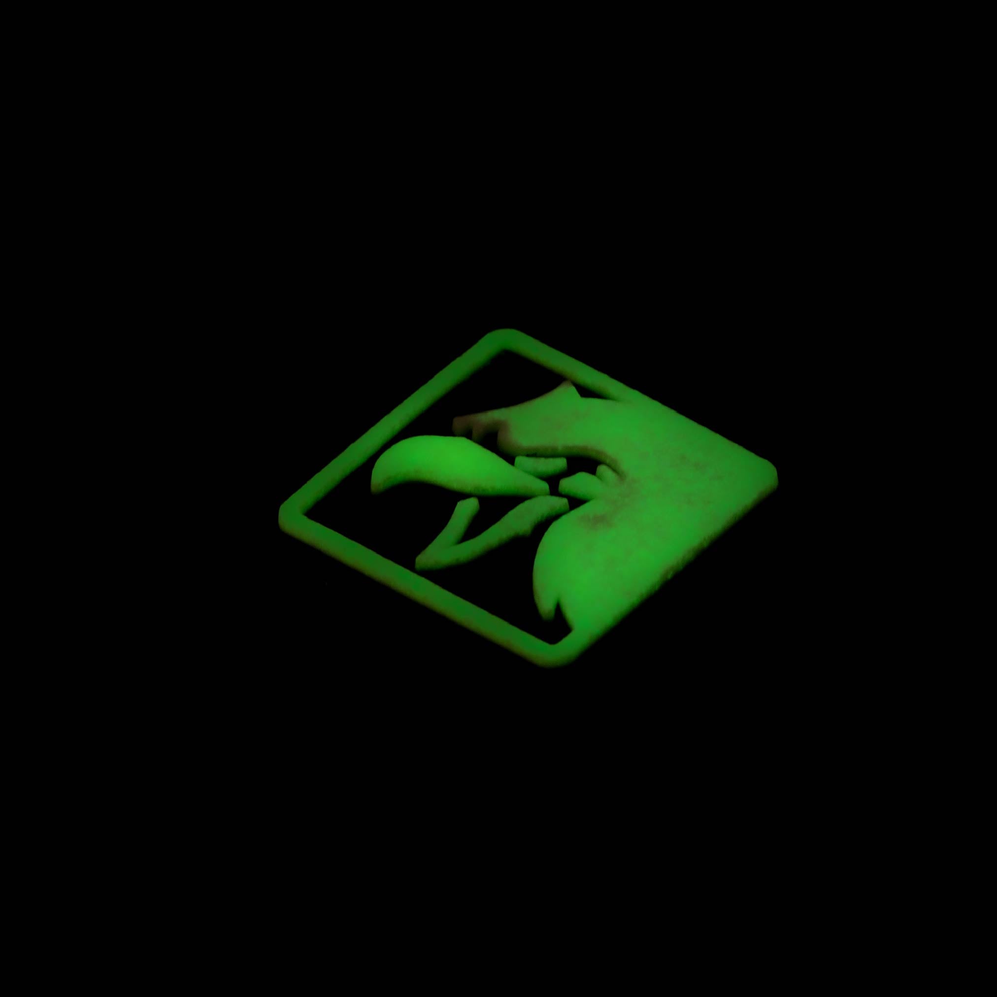 RANGER EYE BIRD